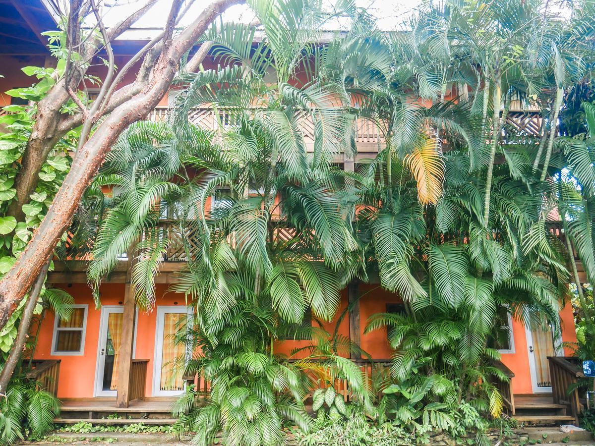 Hotel Posada Las Orquideas,Вест-Энд Экстерьер фото