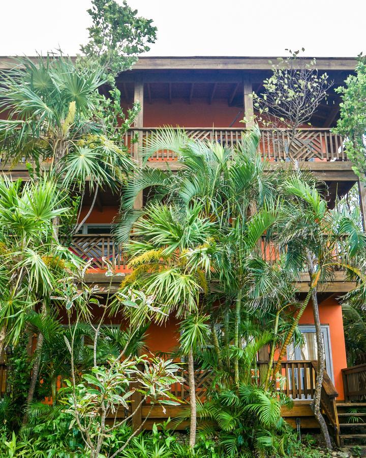 Hotel Posada Las Orquideas,Вест-Энд Экстерьер фото