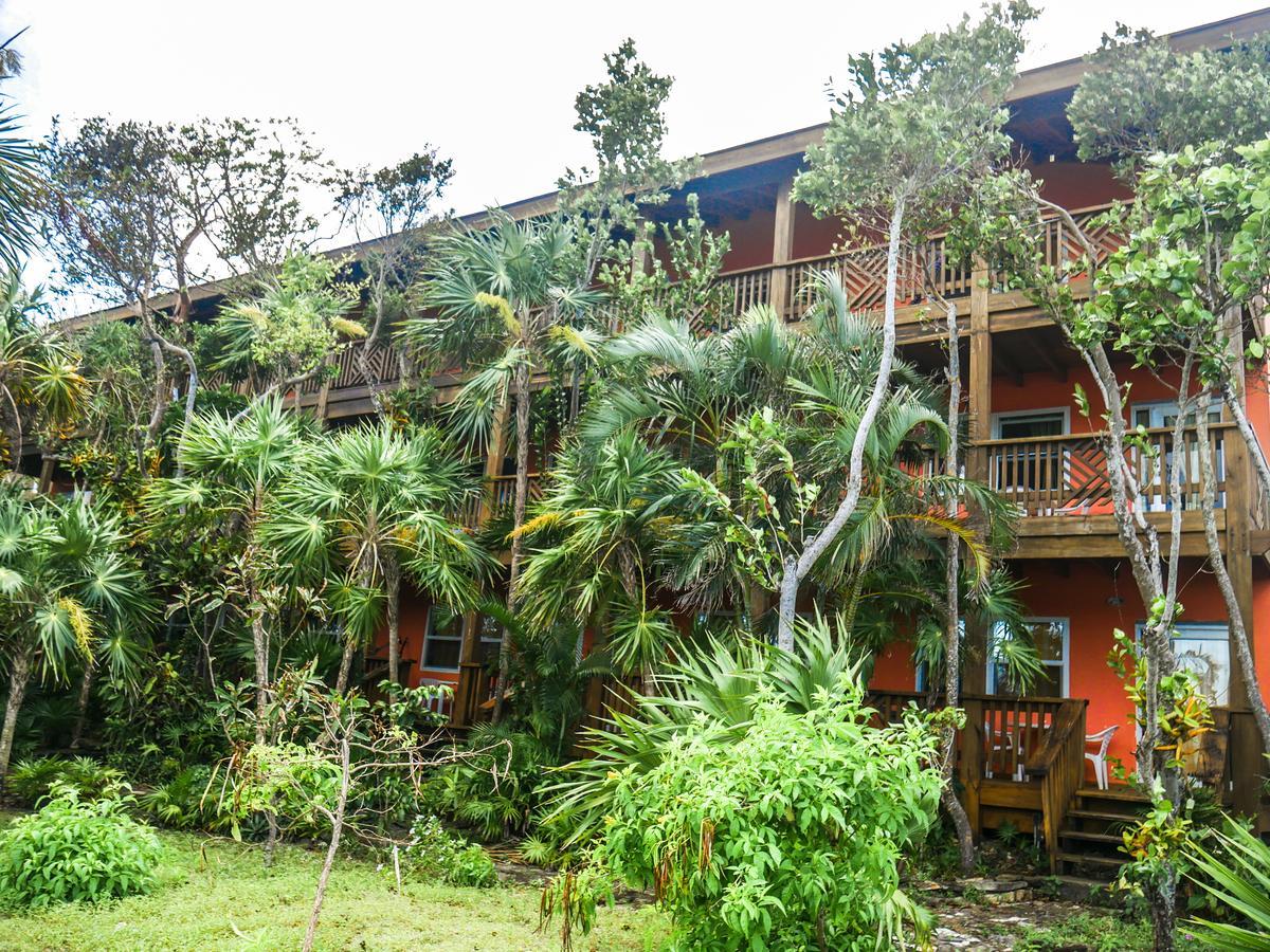 Hotel Posada Las Orquideas,Вест-Энд Экстерьер фото