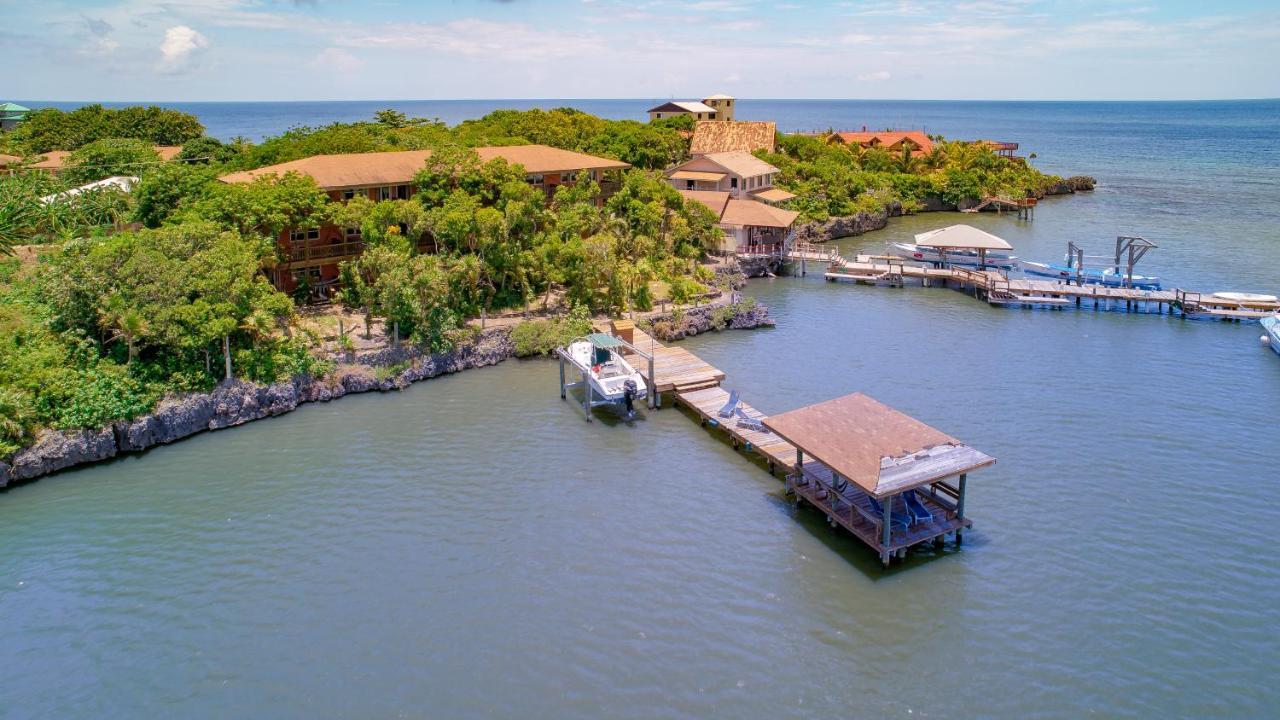Hotel Posada Las Orquideas,Вест-Энд Экстерьер фото