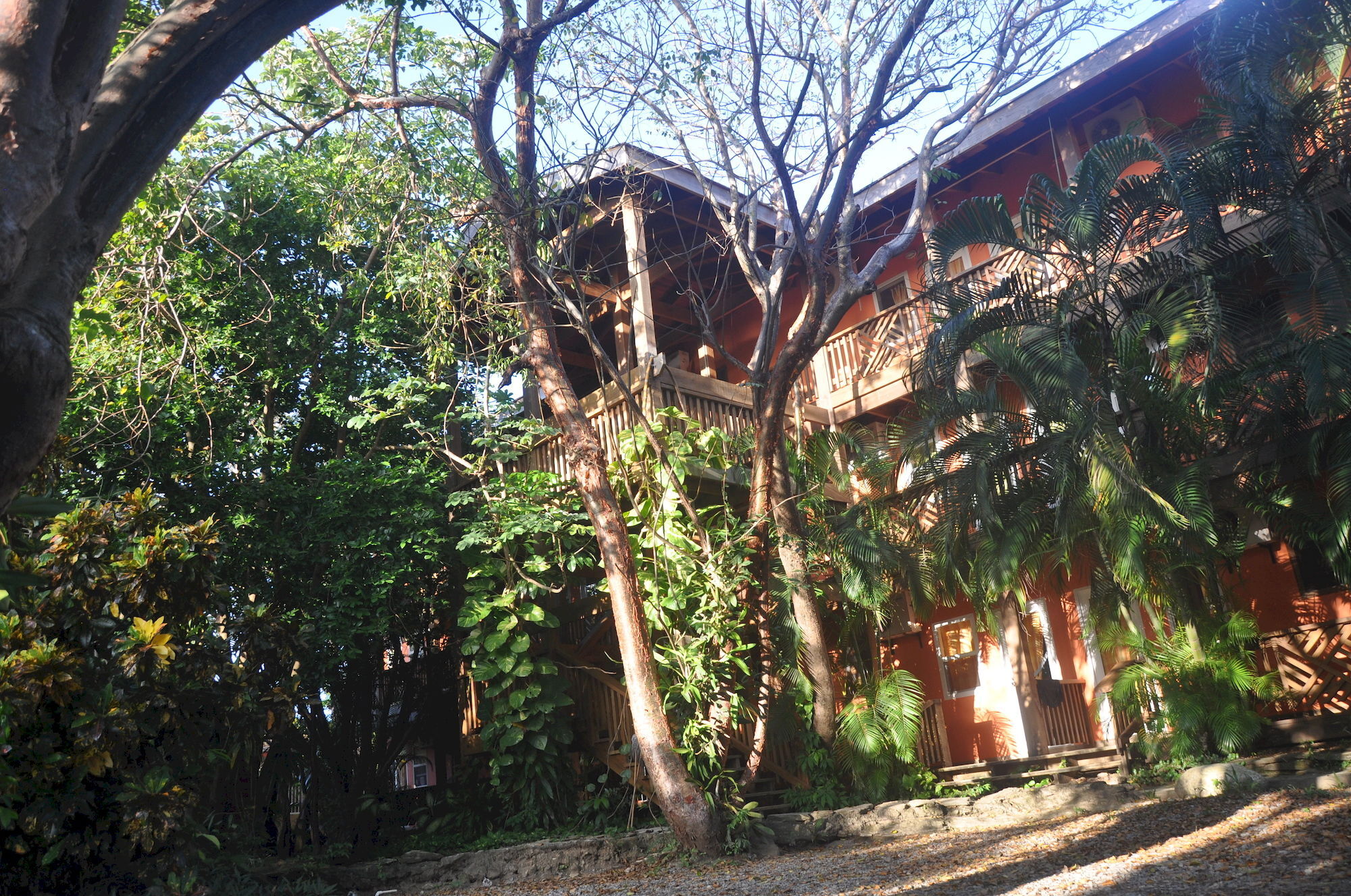 Hotel Posada Las Orquideas,Вест-Энд Экстерьер фото