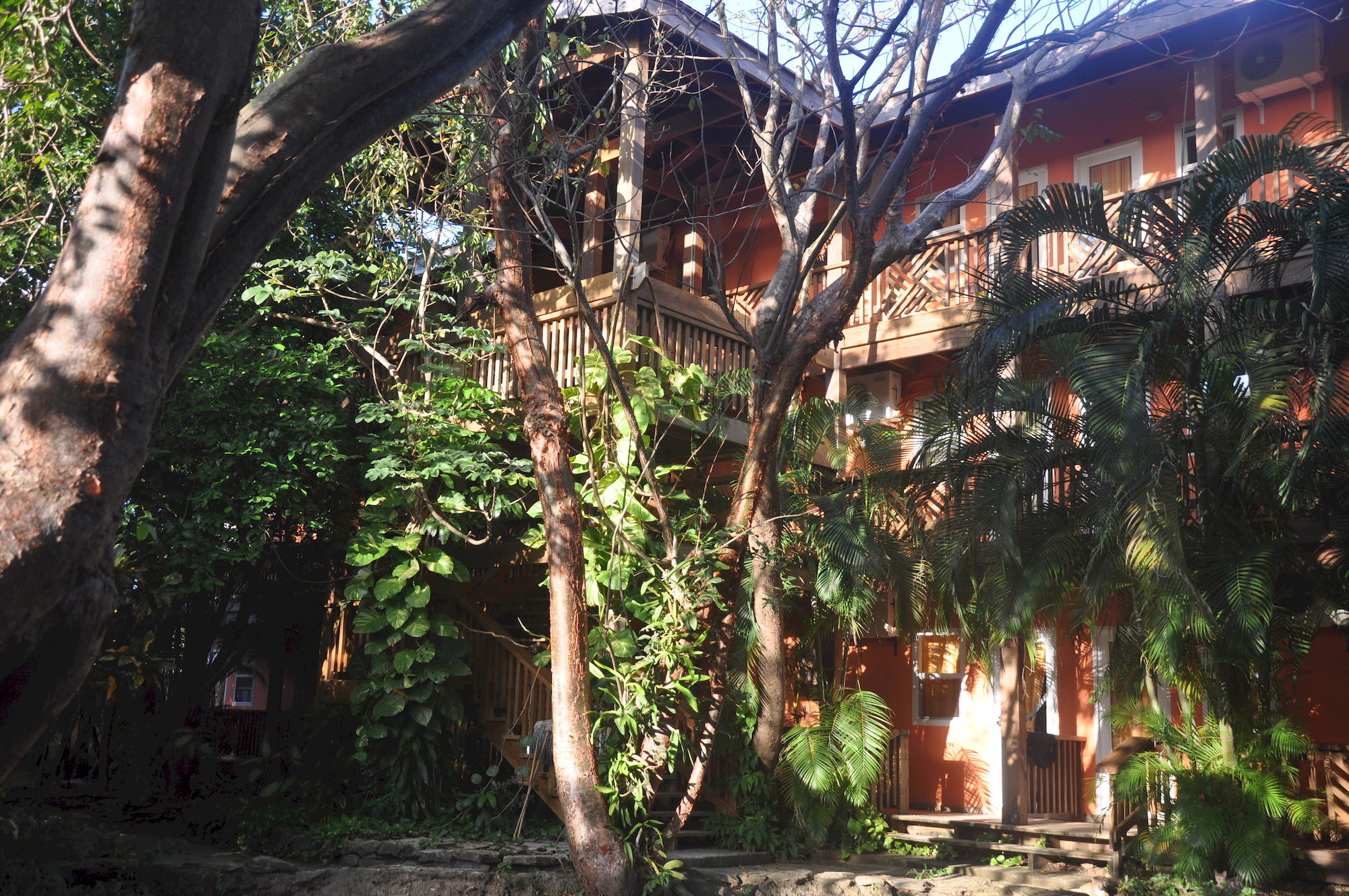 Hotel Posada Las Orquideas,Вест-Энд Экстерьер фото